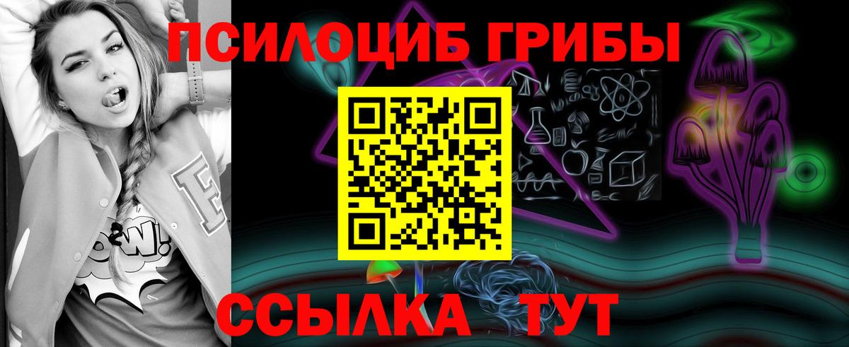Кинель  Галлюциногенные грибы Magic Shrooms  Псилоцибиновые грибы MAGIC MUSHROOMS  Вход с VPN 